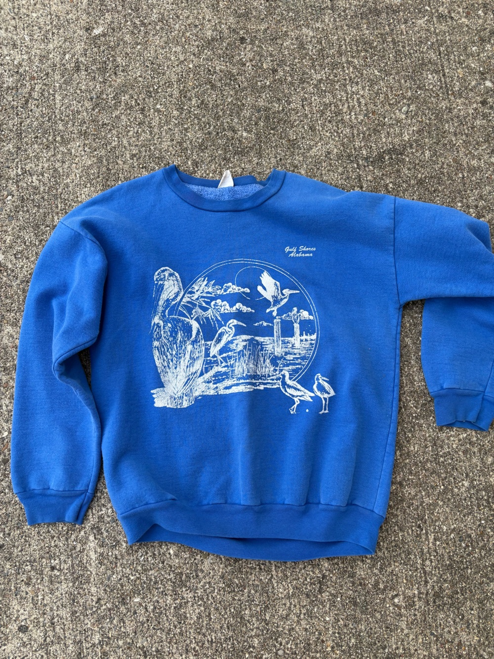 Men's Blue Crewneck Sweatshirt with White Waterfowl Graphic